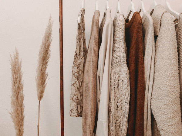 The Life Cycle of the Clothes Moth and How to Deal with Them