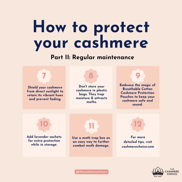 How to protect your cashmere with moth proof storage bags for clothes 