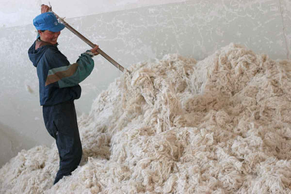 How is the raw cashmere processed?