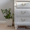 Protect Cashmere - Cashmere Care - Anti Moth Trap Box Image 5